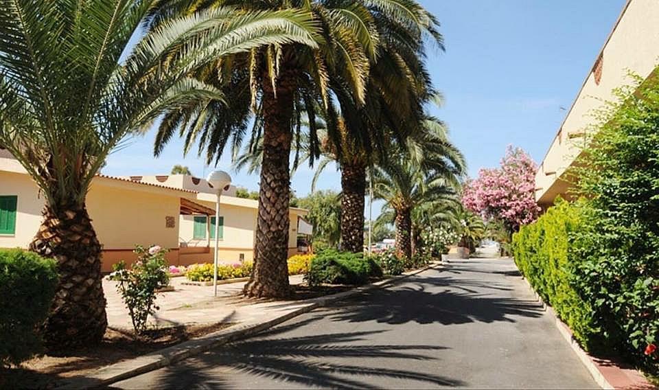 Hotel Summer Day Village Santa Maria Del Cedro Exterior foto
